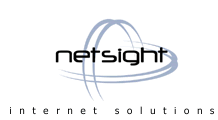 Netsight logo